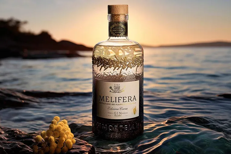 Gin francais artisanal bio Malefira bouteille fond mer