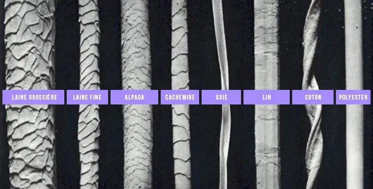 photo microscope difference comparaison fil laine alpaga cachemire soie polyesther
