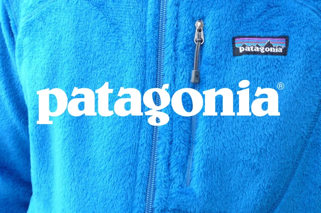 apercu article polaire Patagonia marques alternatives