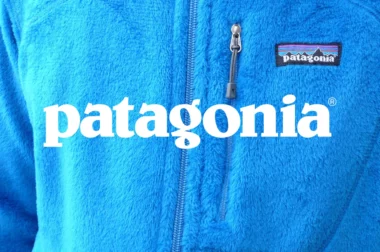 apercu article polaire Patagonia marques alternatives